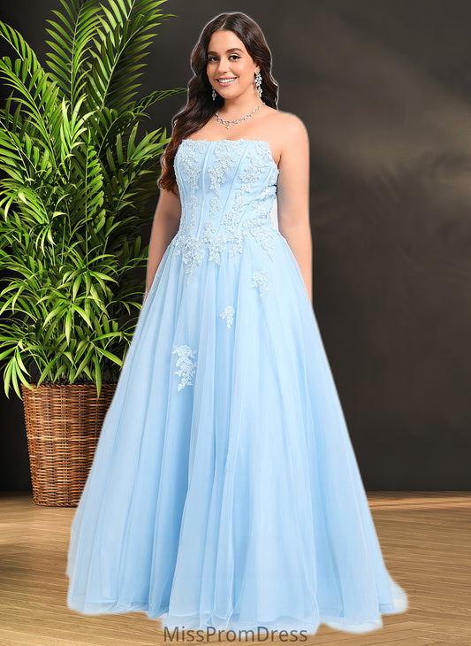 Brooke Ball-Gown/Princess Straight Sweep Train Tulle Prom Dresses With Sequins Appliques Lace HMP0025864