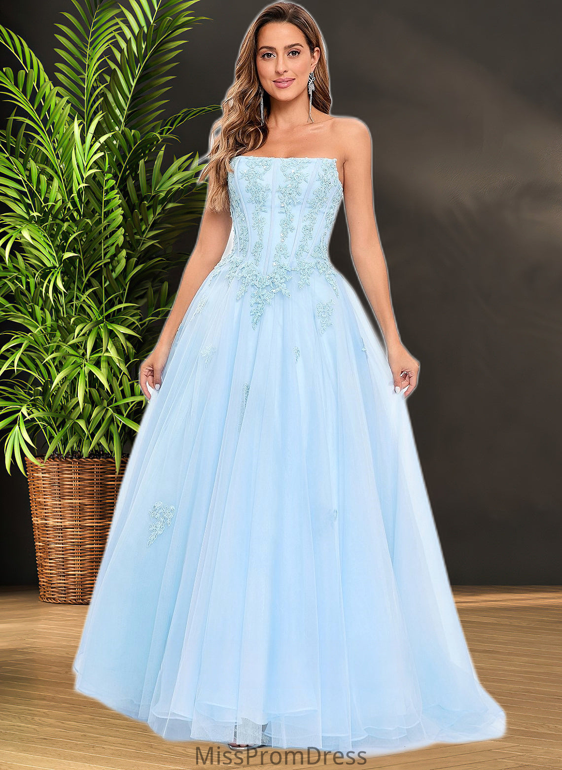 Brooke Ball-Gown/Princess Straight Sweep Train Tulle Prom Dresses With Sequins Appliques Lace HMP0025864