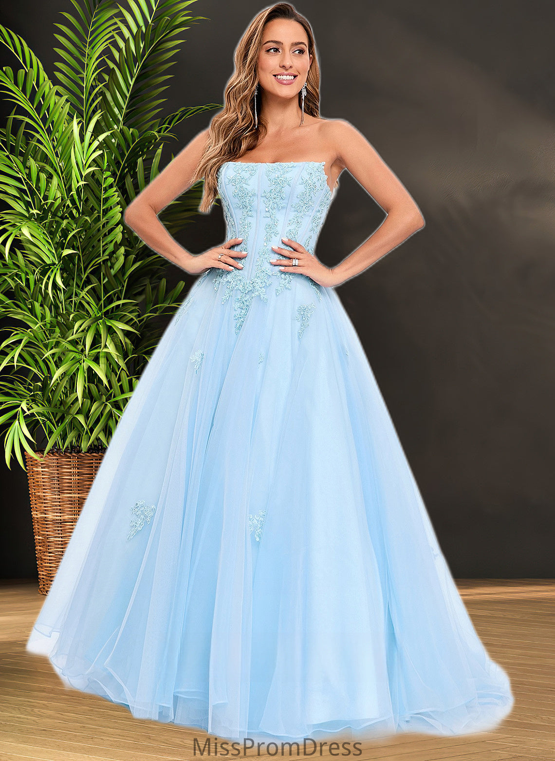 Brooke Ball-Gown/Princess Straight Sweep Train Tulle Prom Dresses With Sequins Appliques Lace HMP0025864