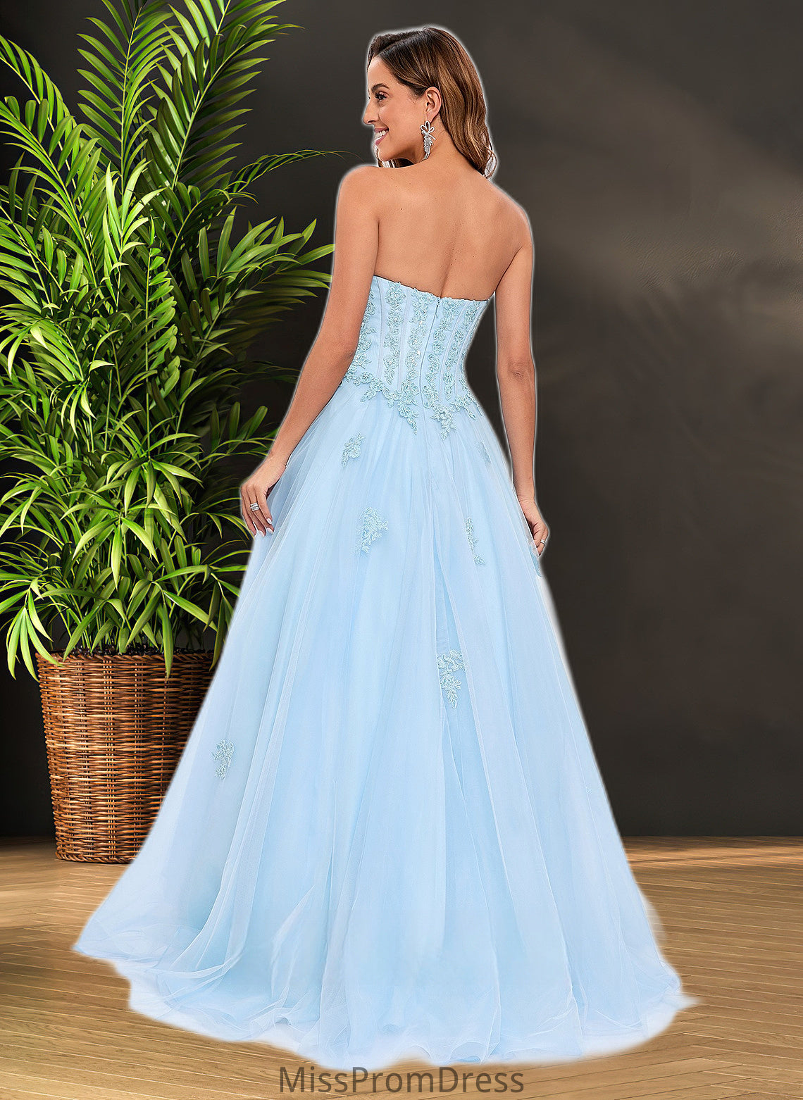 Brooke Ball-Gown/Princess Straight Sweep Train Tulle Prom Dresses With Sequins Appliques Lace HMP0025864