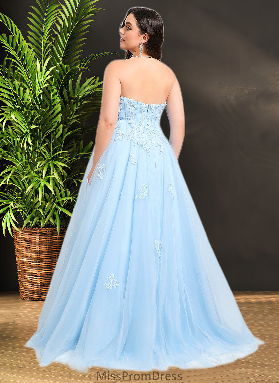 Brooke Ball-Gown/Princess Straight Sweep Train Tulle Prom Dresses With Sequins Appliques Lace HMP0025864